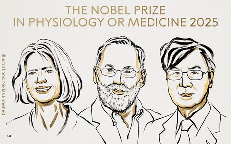 Giải Nobel Y sinh 2025 được trao cho ba nhà khoa học nhờ khám phá cơ chế 'phanh' hệ miễn dịch của con người