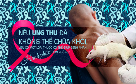 Các nhà khoa học tiêm thuốc chữa xương khớp cho chuột mắc ung thư giai đoạn cuối, chúng không khỏi ung thư, nhưng một điều kỳ diệu đã xảy ra