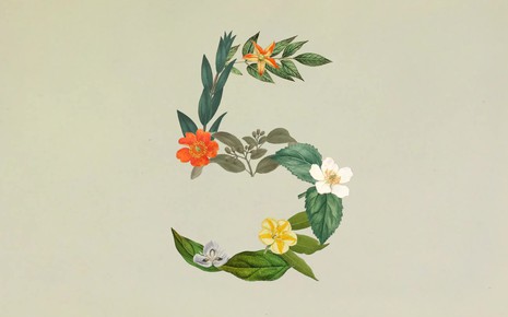 Anthropic ra mắt Claude Sonnet 5: Ngang ngửa Opus 4.8 nhưng giá chỉ bằng một nửa