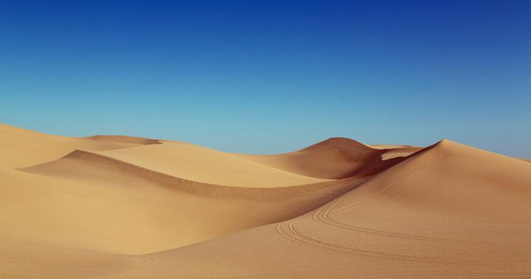 Công nghệ 'kỳ diệu' biến cát sa mạc cằn cỗi thành đất màu mỡ có thể trồng trọt chỉ trong 7 tiếng