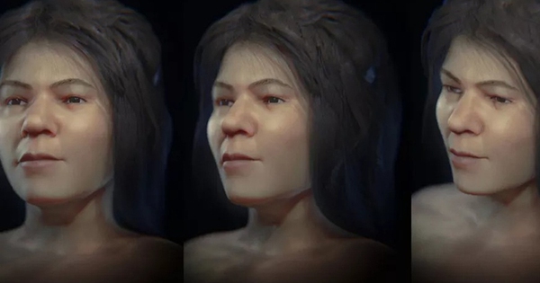 Dùng phần mềm, tái tạo thành công khuôn mặt thiếu nữ thời kỳ đồ đá cách đây 31.000 năm