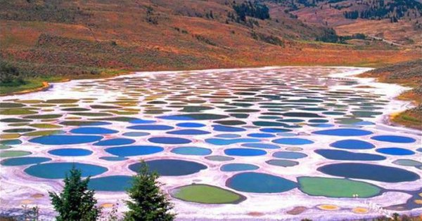 Tại sao hồ 'Polka Dot' của Canada có thể là một hồ bơi có khả năng chữa bệnh