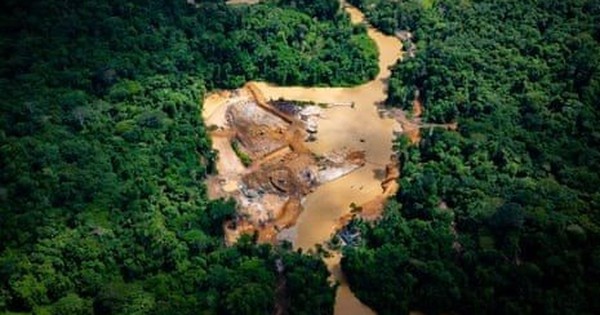 “The Road to Chaos” in the Amazon – Where Illegal Gold Mining Creates a Terrible Humanitarian Tragedy
