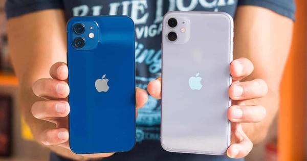 The price of iPhone 11, iPhone 12 dropped sharply, to the lowest level ever