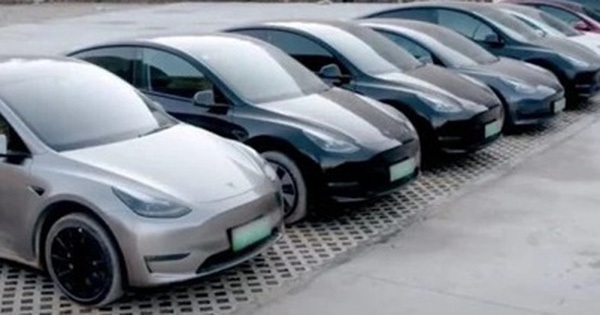 Chinese village buys 40 Tesla electric cars to go to street vendors