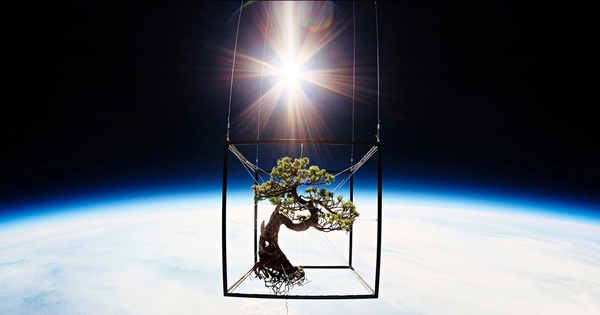 Azuma Makoto, the pioneer of the project to send trees into space