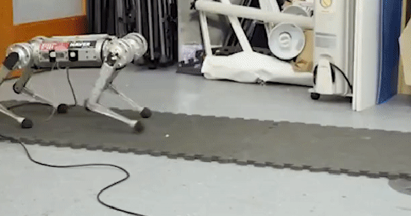 Cheetah robot can learn to run to overcome its own speed limit