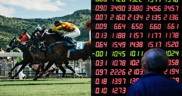 Difference between horse racing betting and stock investment