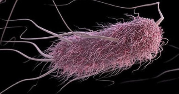 Discovered a type of bacteria controlled by sound, capable of KILLING the disease that kills more than 9 million people a year
