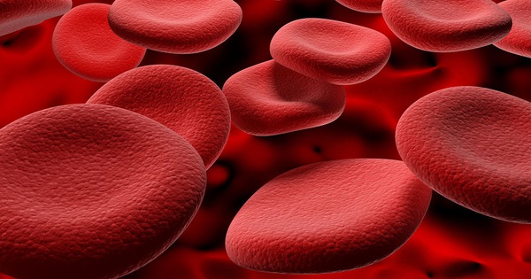 Why do we have different blood types?