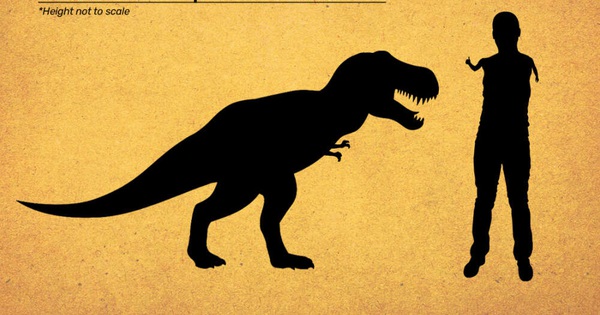 Evolution shrunk T-rex dinosaur hands so they wouldn’t bite each other’s hands