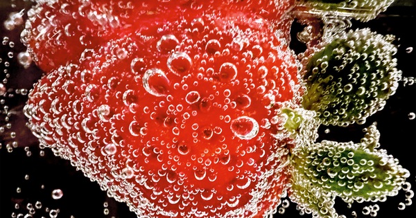 Apple honors 10 best macro photos taken with iPhone