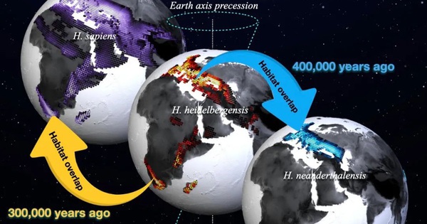 How did climate shape human evolution?