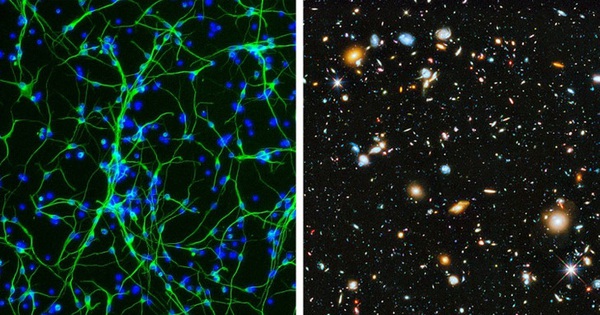 There is a hidden universe inside our bodies, and here it is