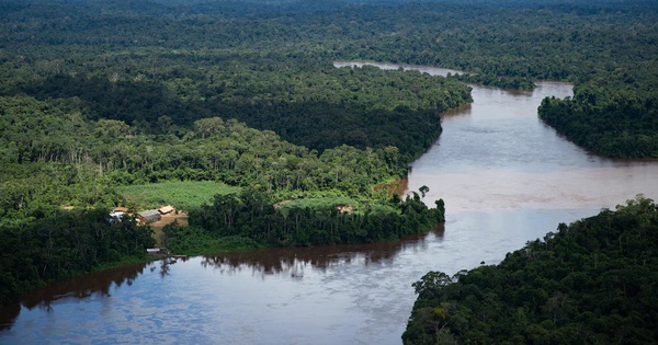 Wi-Fi password dispute in the Amazon jungle, 4 people died