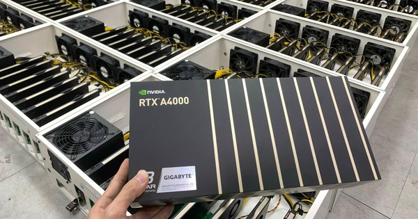 Vietnamese retailers use graphics cards for office work to dig coins, get quality compensation