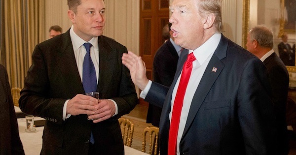 Elon Musk confirmed to “unlock” the Twitter account for former President Trump