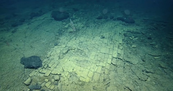 Discovered the mysterious “yellow brick road” on the bottom of the Pacific Ocean, thought it was the entrance to Atlantis