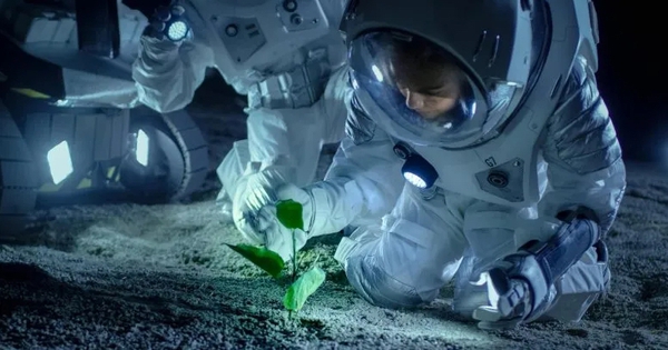 Scientists have grown plants on the Moon’s soil for the first time
