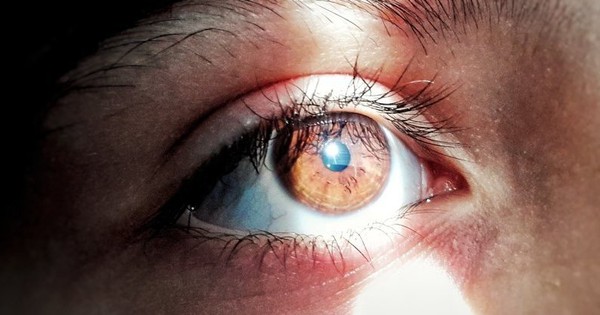 Scientists Resurrect A Dead Human Eye After 5 Hours