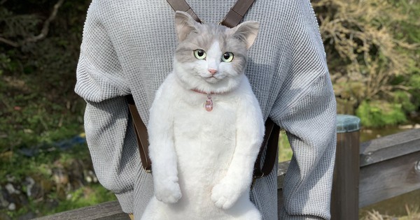 The Japanese are crazy about a backpack that looks exactly like a real cat, priced at more than 1,000 USD