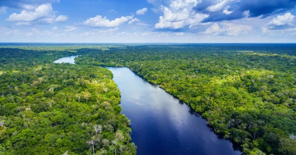 Why is there no bridge over the Amazon River?