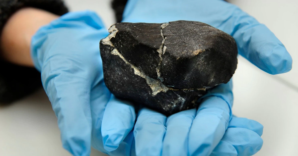The meteorite contains enough DNA and RNA components, Japanese scientists confirm that life comes from extraterrestrial