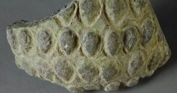 Archaeologists have just found a grenade more than 1,000 years old