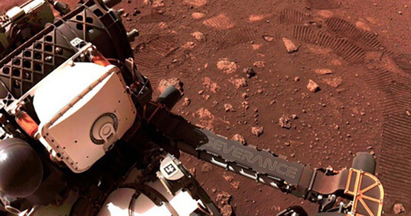 NASA brought Mars rock back to Earth, scientists fear it contains alien bacteria