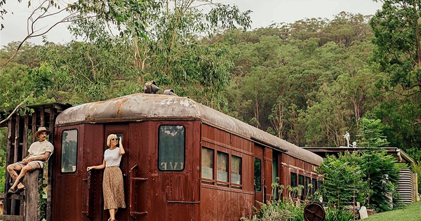 The couple recycle the abandoned 1950’s train carriage, turning it into a 70-square-meter house, living with camels and nature: Amazing!