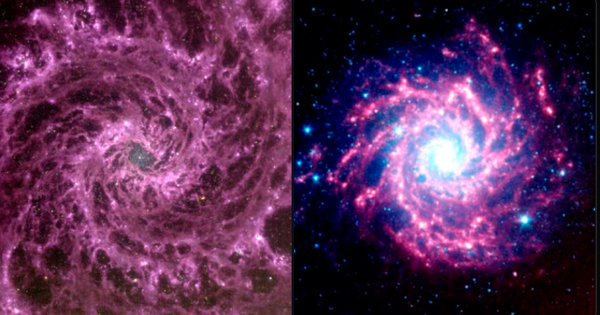 The James Webb Space Telescope “accidentally” discovered the mysterious spiral of the purple galaxy in our universe!