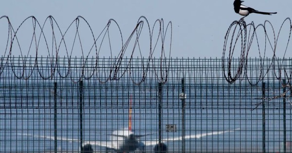 Chinese scientists make a bird-repelling laser to protect the airport