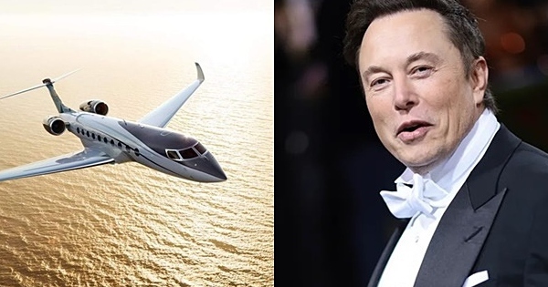 Billionaire Elon Musk was spotted taking a super short flight in 9 minutes