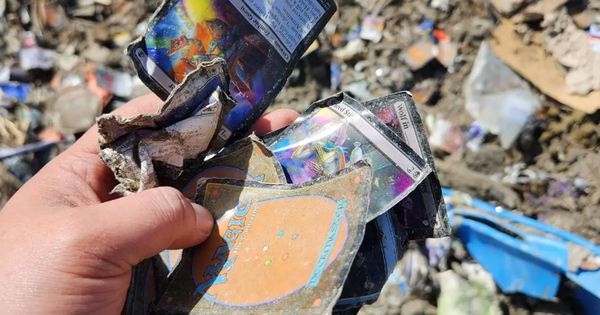 A series of cards worth more than 2 billion were thrown into the landfill, gamers still try to beat the mortar, go to the trash to find cards