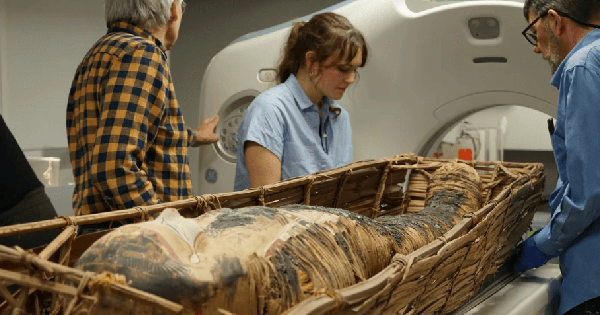 Các nhà khoa học sử dụng máy quét để nghiên cứu xác ướp Ai Cập và tìm lời giải cho bí ẩn suốt 3.000 năm!