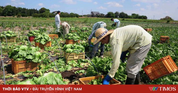 日本はAIを活用して干ばつに対応