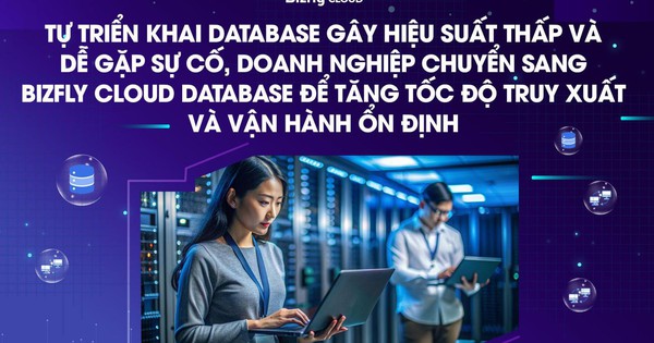 Doanh nghiệp sử dụng Bizfly Cloud Database để tăng tốc độ truy xuất và vận hành ổn định