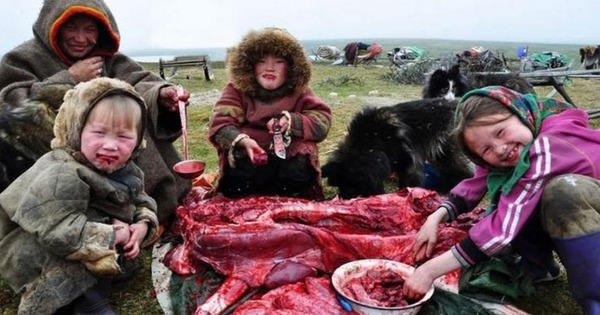Gallery - Vì sao người Eskimo vẫn ăn thịt sống giữa Bắc Cực khắc nghiệt suốt hàng nghìn năm?