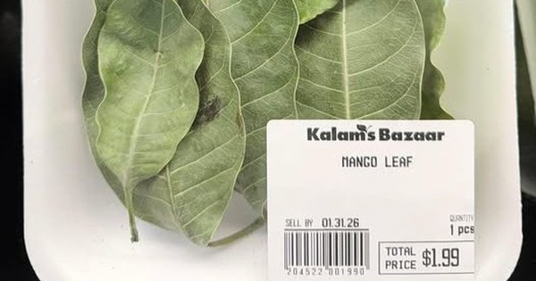 7 Lá Xoài Giá 52.000 Đồng Ở Mỹ: Từ Thứ Bỏ Đi Thành Hàng Hóa Đắt Giá