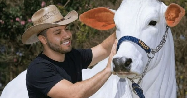 Đây là con bò đắt nhất thế giới với trọng lượng hơn 1 tấn và có giá hơn 4 triệu USD