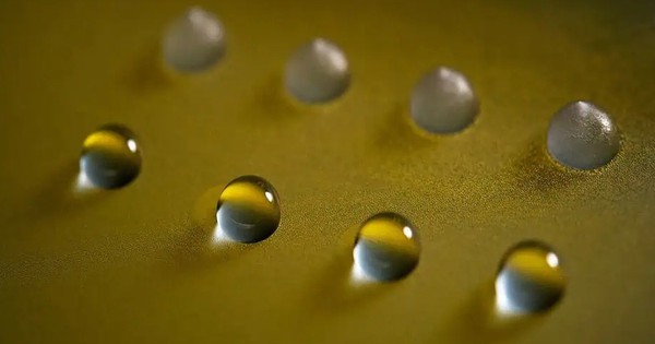 Protein nấm đất đóng băng nước ở -2°C: Bước đột phá cho công nghệ điều khiển thời tiết