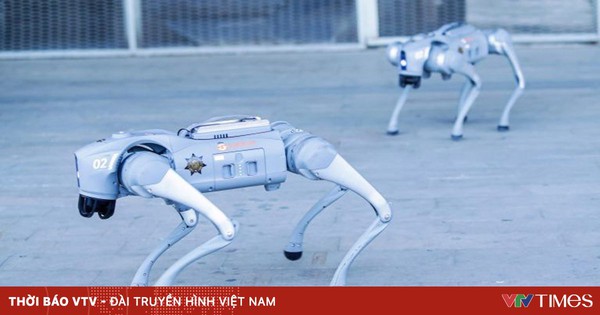 Robot AI Bảo Vệ Trung Tâm Dữ Liệu: Xu Hướng Thay Thế Lao Động Chân Tay