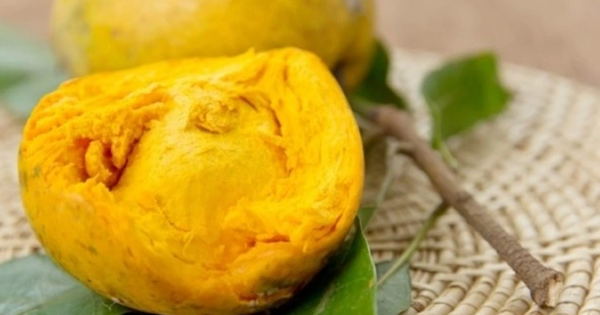 Dinh dưỡng đỉnh cao nhưng bị lãng quên: 2 loại quả siêu thực phẩm ít người Việt ăn
