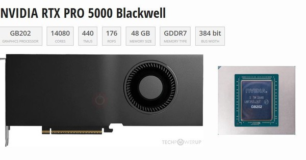 Card NVIDIA RTX PRO 5000 Blackwell thiếu ROP, hiệu suất bị ảnh hưởng nghiêm trọng