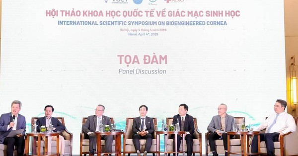 Việt Nam Gây Chấn Động Thế Giới Với Công Nghệ Ghép Giác Mạc Lợn Cho Người