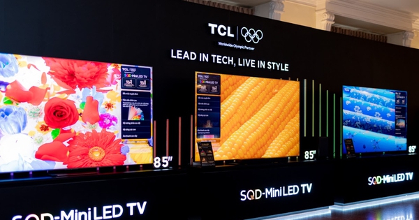 TCL tại sự kiện 'See the Unseen': Khi TV không chỉ để xem mà còn là một phần cuộc sống