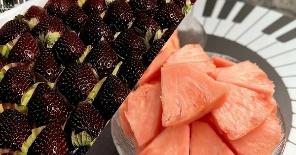 Dứa Hồng, Dâu Tây Đen: Bí Mật Đằng Sau Giá Trị 'Trên Trời' Của Trái Cây Màu Lạ