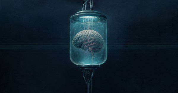 700 bộ não người chết được 'hồi sinh' trong phòng thí nghiệm Mỹ, giới khoa học tranh cãi