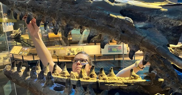 Phát hiện loài thương long khổng lồ Tylosaurus rex, 'T. rex' của đại dương kỷ Phấn Trắng