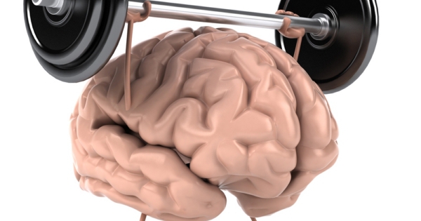 Có ý nghĩa gì của nếp nhăn não đối với chức năng của hệ thần kinh?
